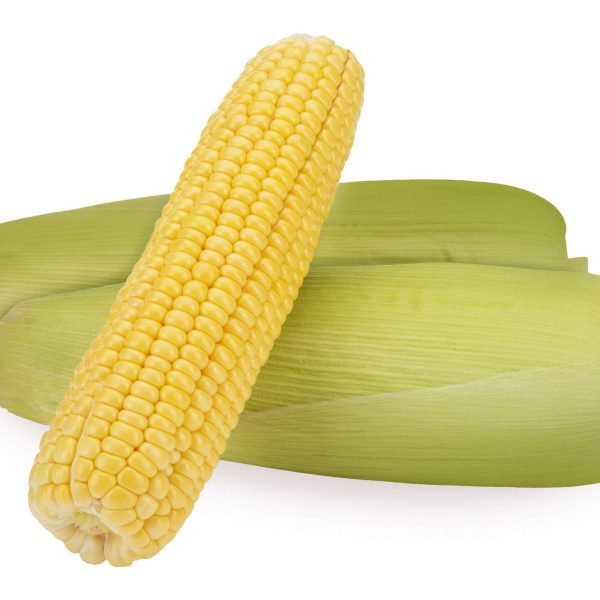 Corn (Makka)