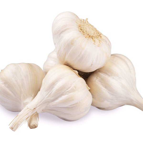 Garlic (Rasuna)